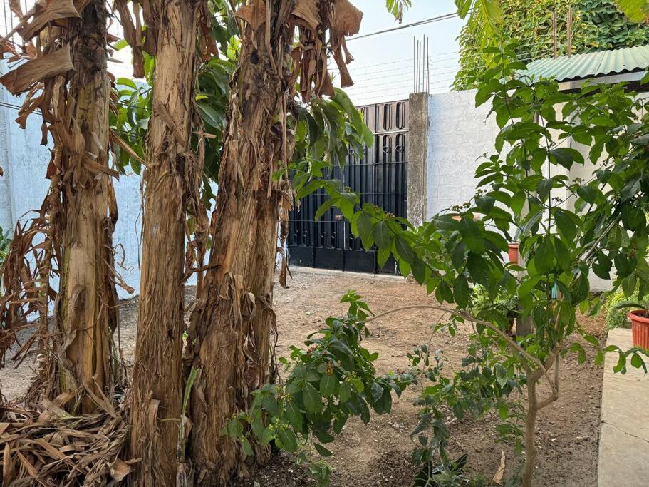 Villa Casa Privada Con Terraza Puerto Maldonado Exterior foto